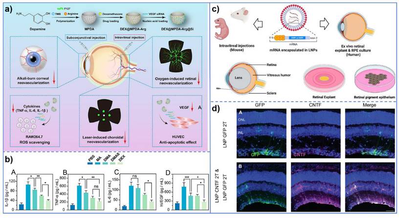 Theranostics Image