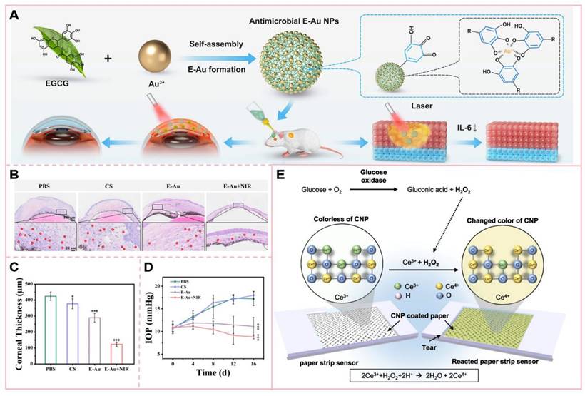 Theranostics Image