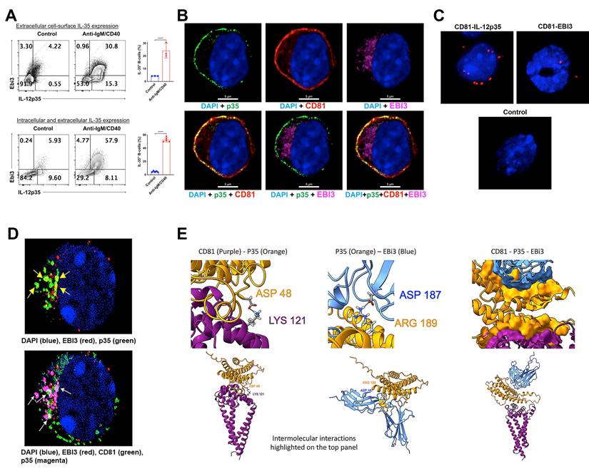 Theranostics Image