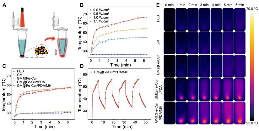 Theranostics Image