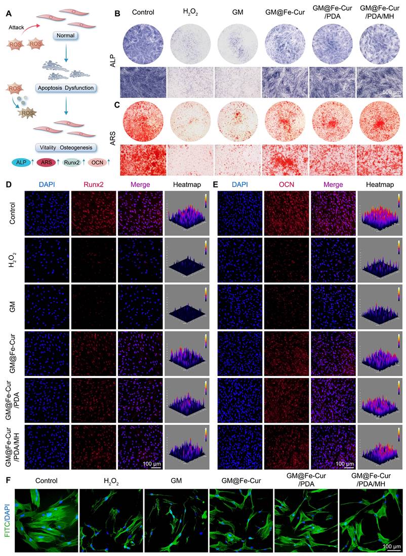 Theranostics Image
