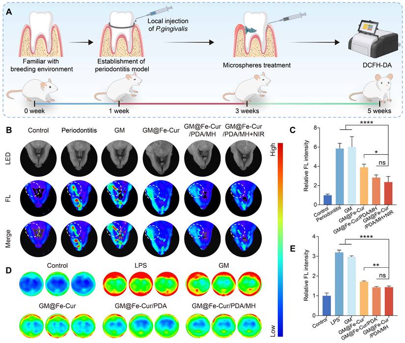 Theranostics Image