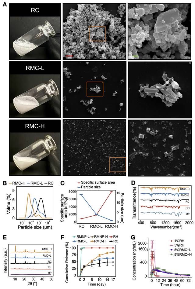 Theranostics Image