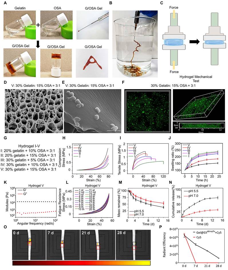 Theranostics Image