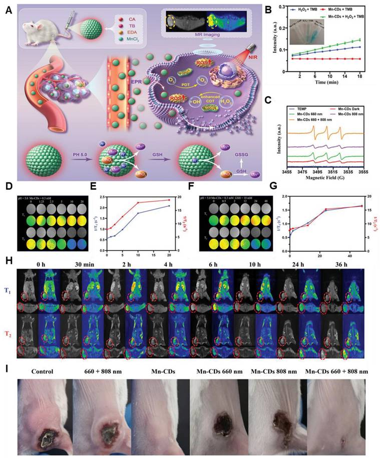 Theranostics Image