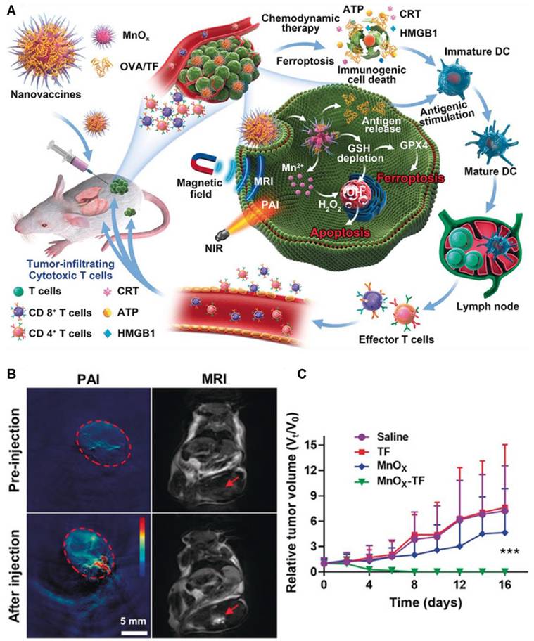 Theranostics Image