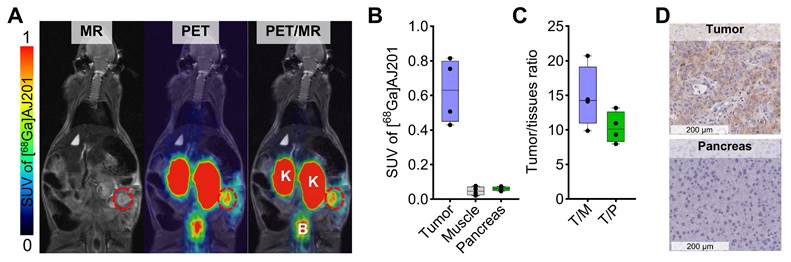 Theranostics Image