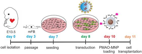 Theranostics Image