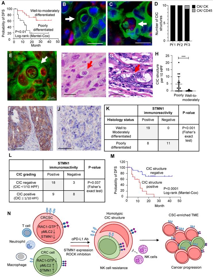 Theranostics Image