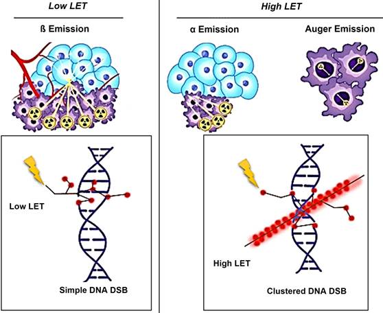 Theranostics Image