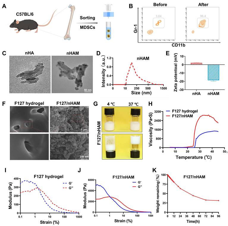Theranostics Image