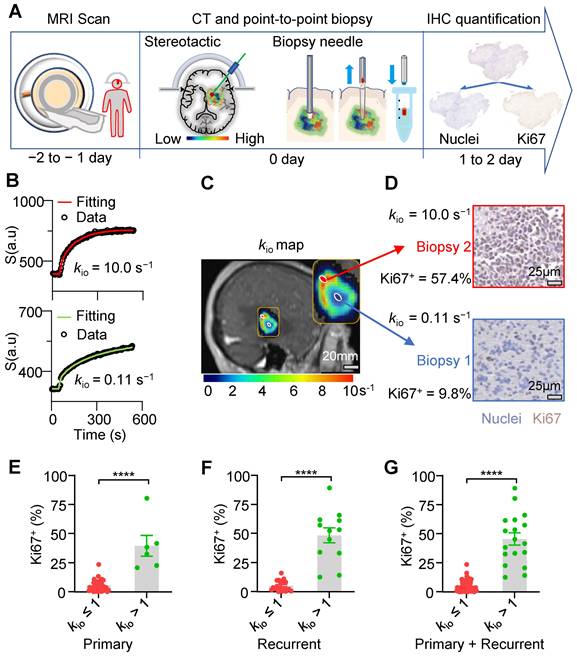 Theranostics Image