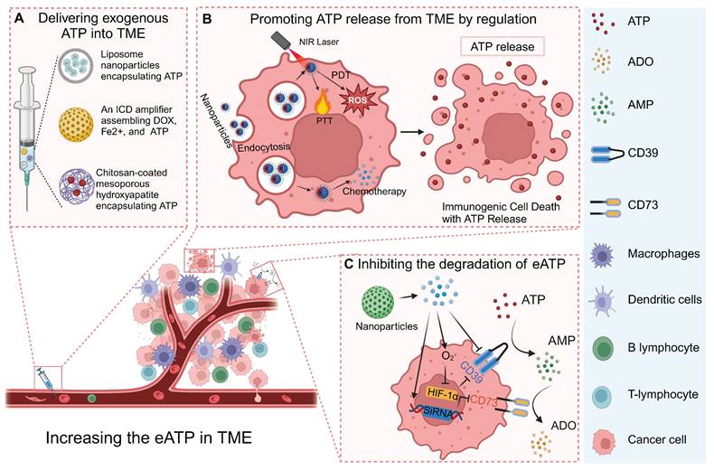 Theranostics Image