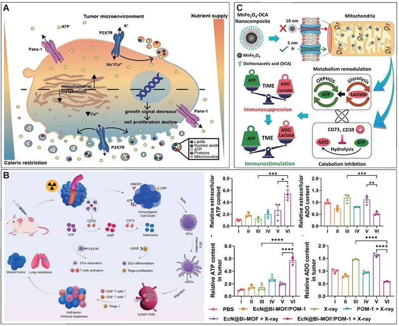 Theranostics Image