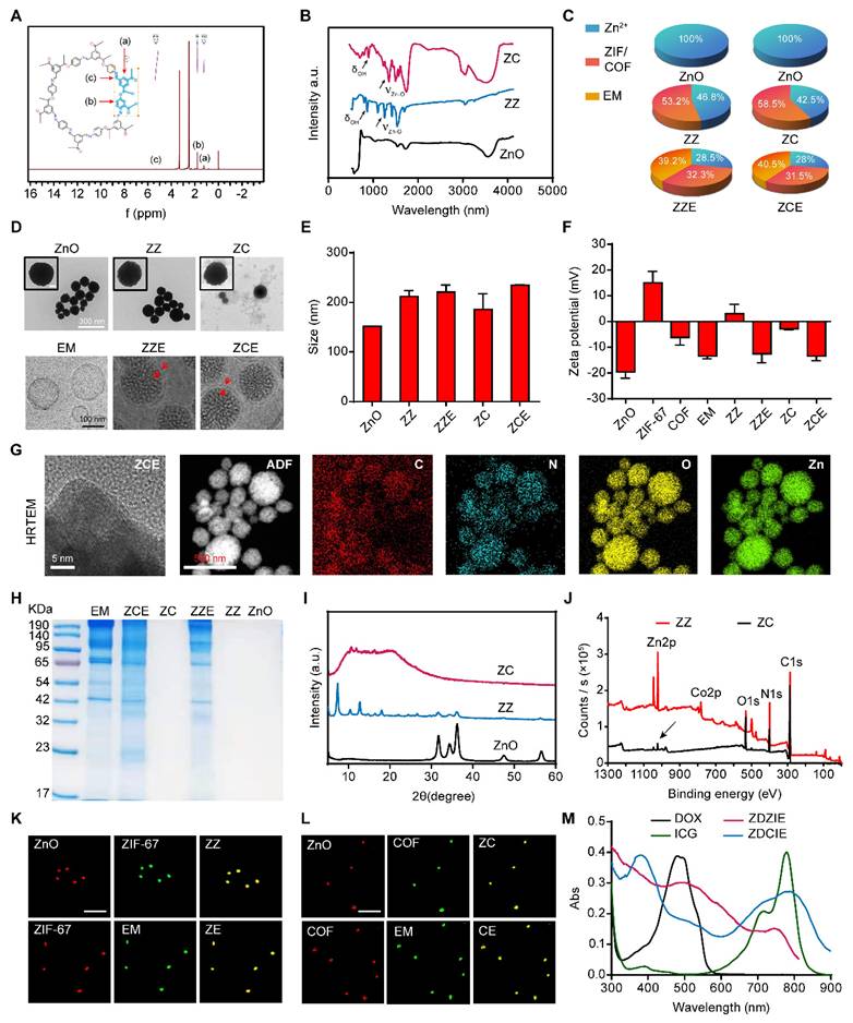 Theranostics Image