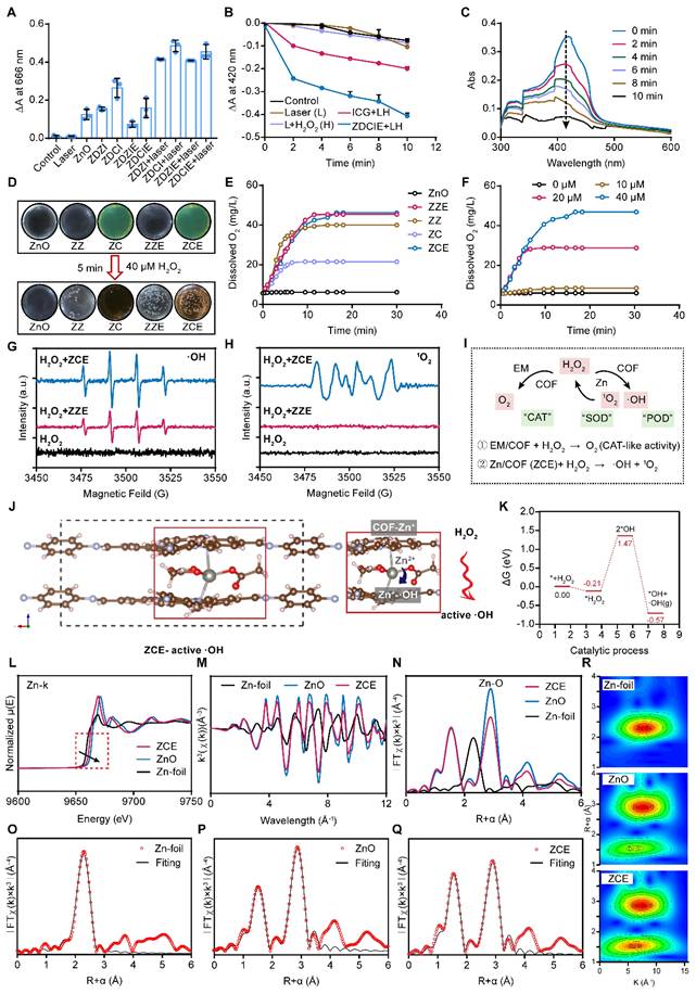 Theranostics Image