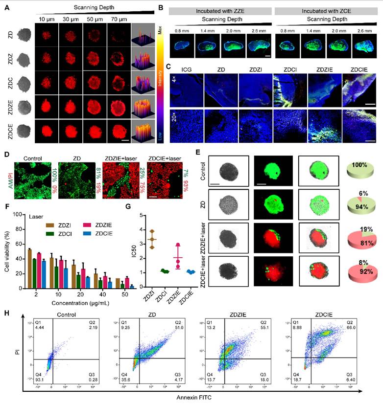 Theranostics Image