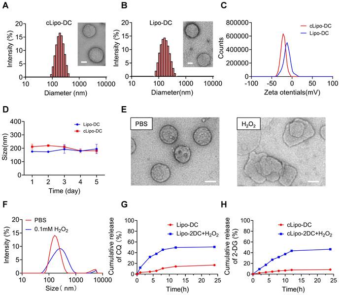 Theranostics Image