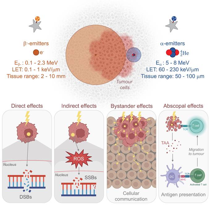 Theranostics Image