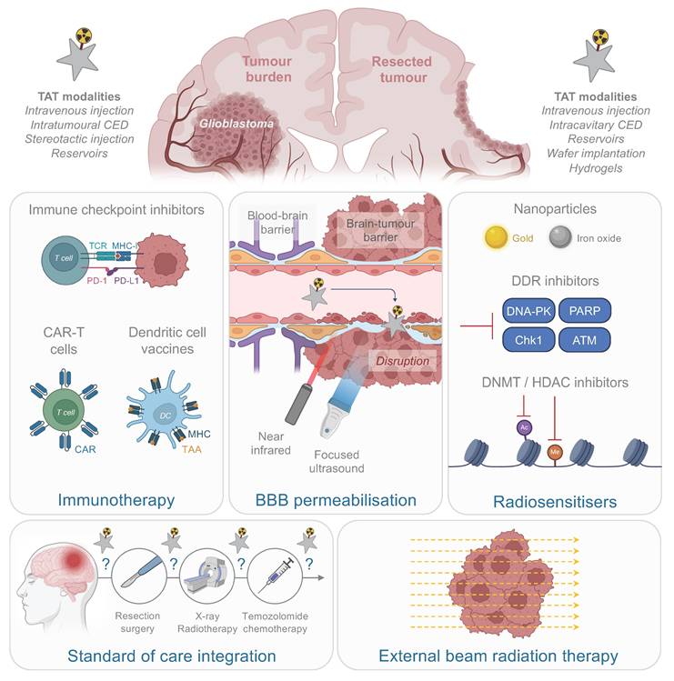 Theranostics Image