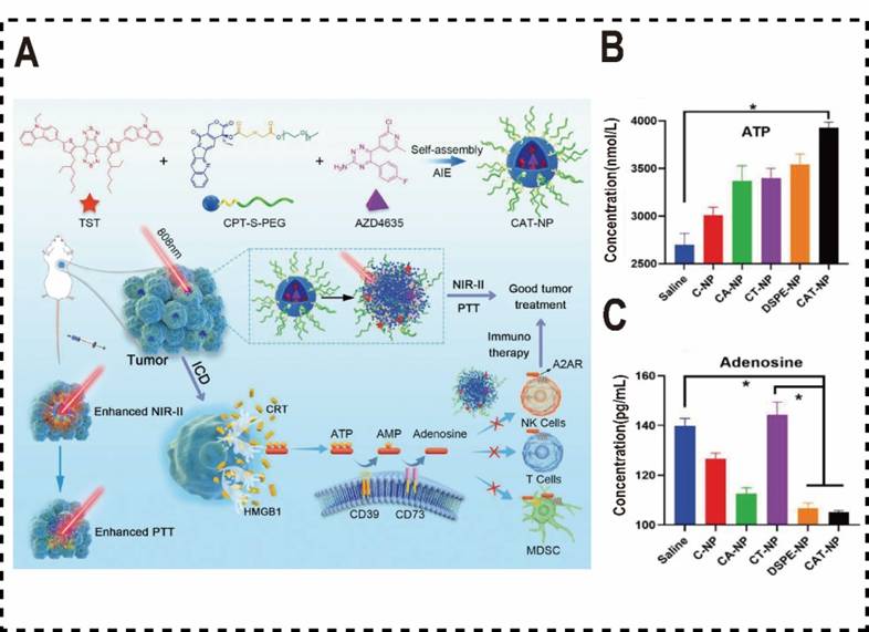 Theranostics Image