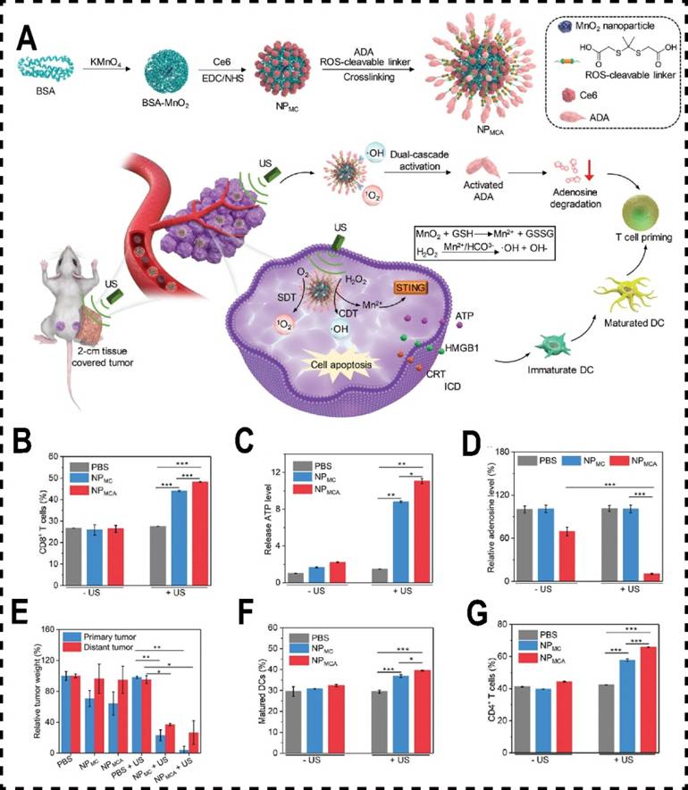 Theranostics Image