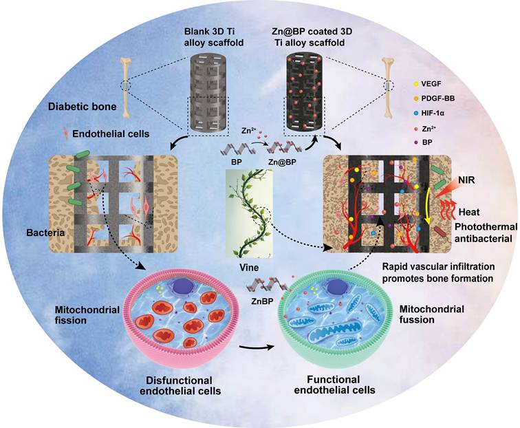 Theranostics Image