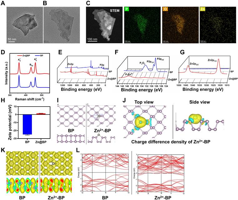 Theranostics Image
