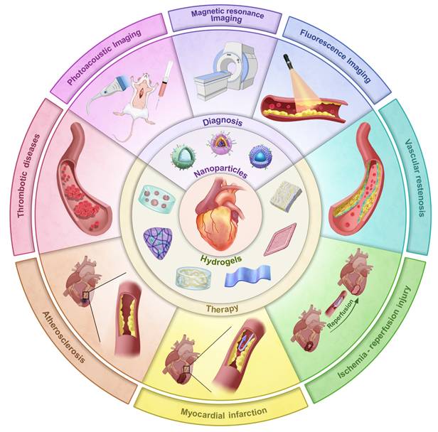 Theranostics Image