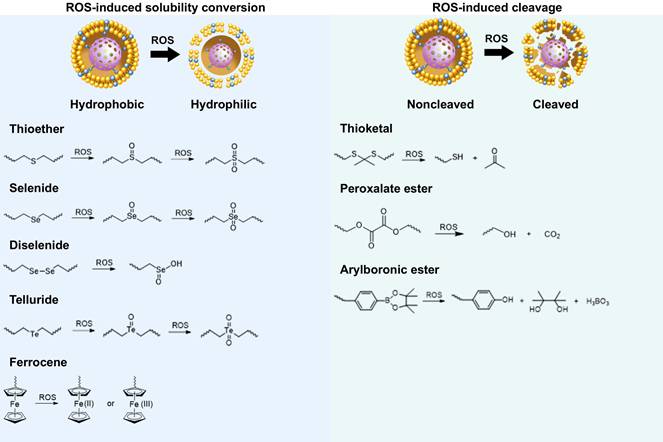 Theranostics Image