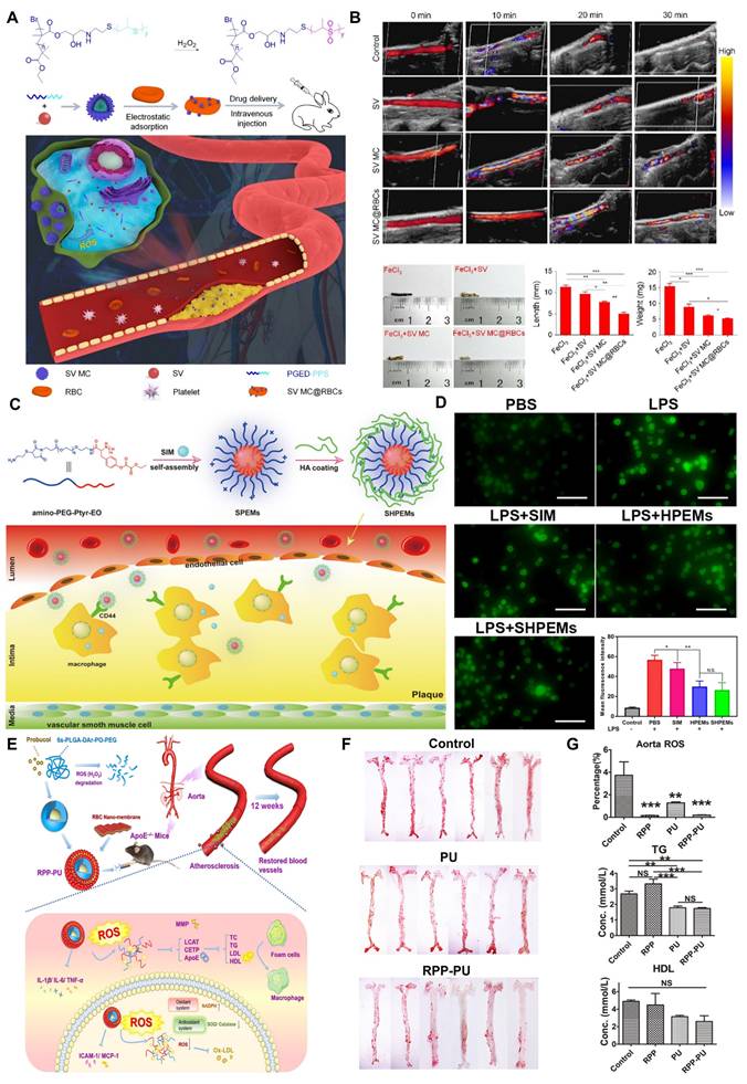 Theranostics Image