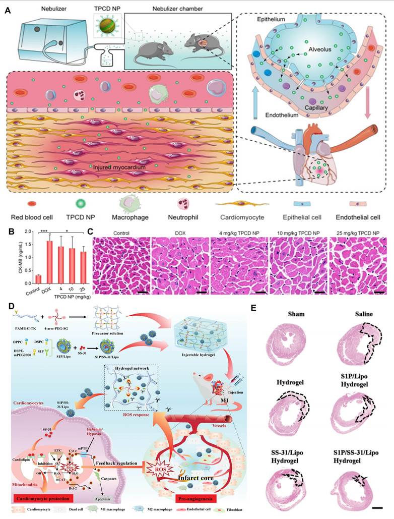 Theranostics Image