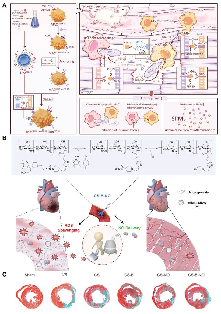 Theranostics Image