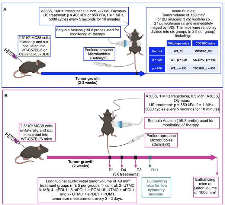 Theranostics Image