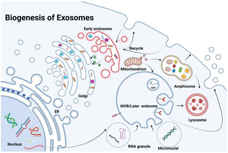 Theranostics Image