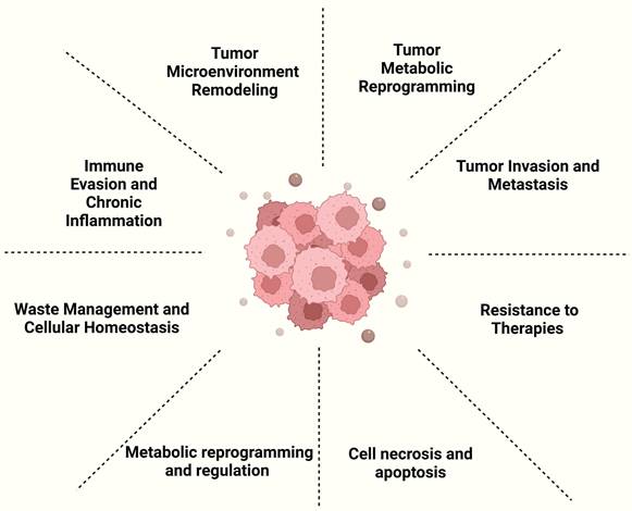 Theranostics Image
