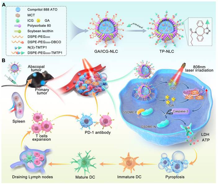 Theranostics Image