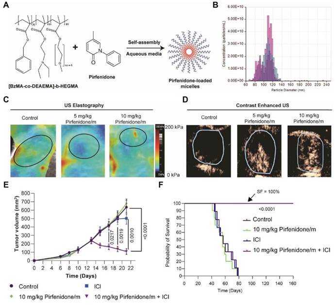 Theranostics Image