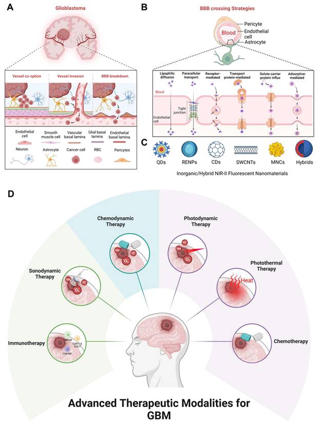 Theranostics Image