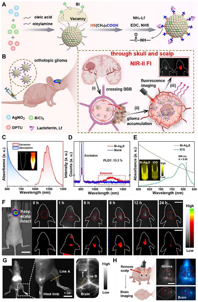 Theranostics Image