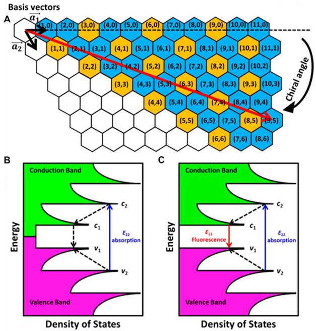 Theranostics Image