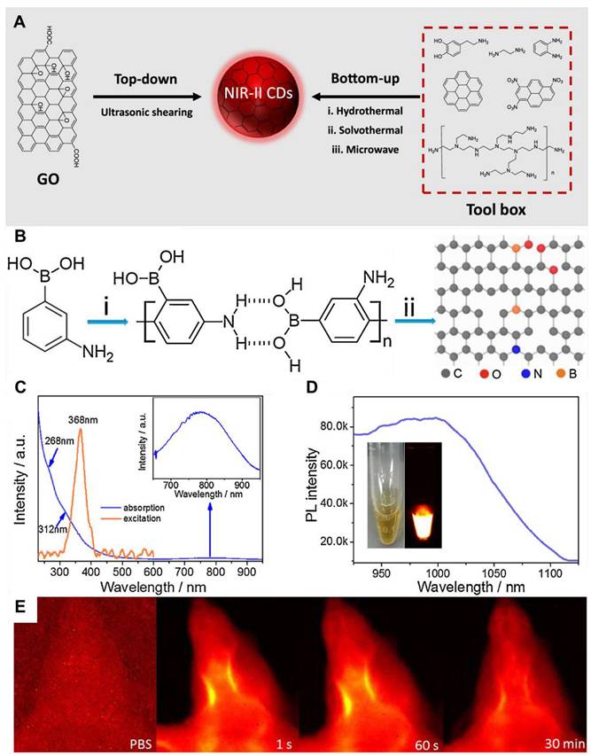 Theranostics Image