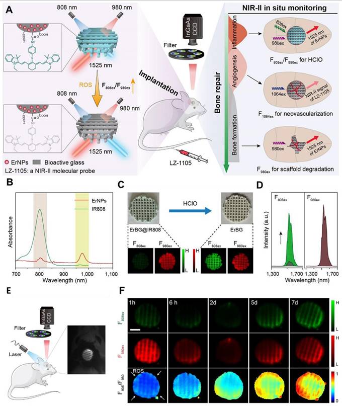 Theranostics Image