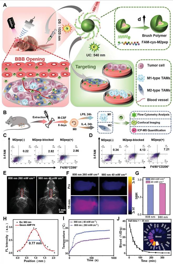 Theranostics Image
