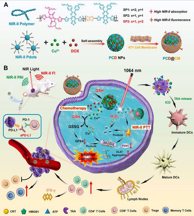 Theranostics Image