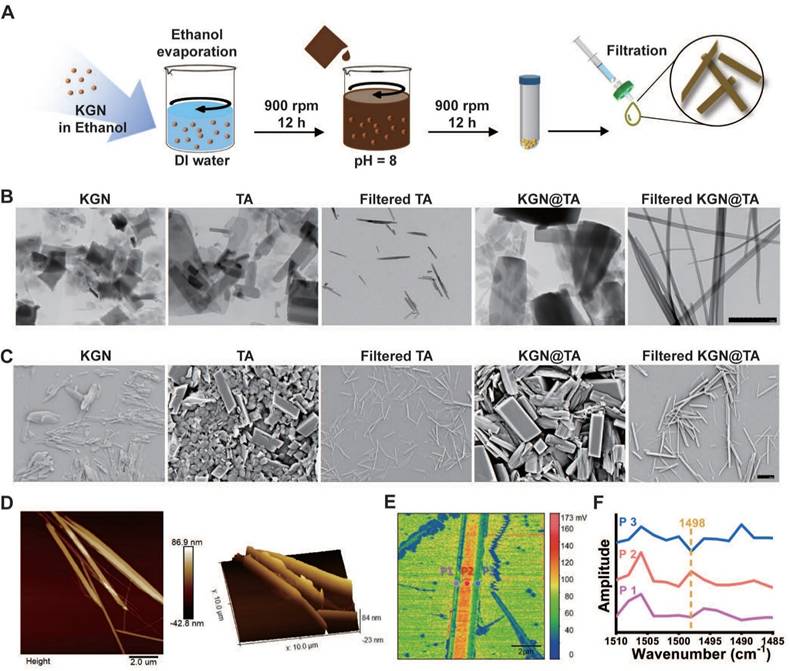 Theranostics Image