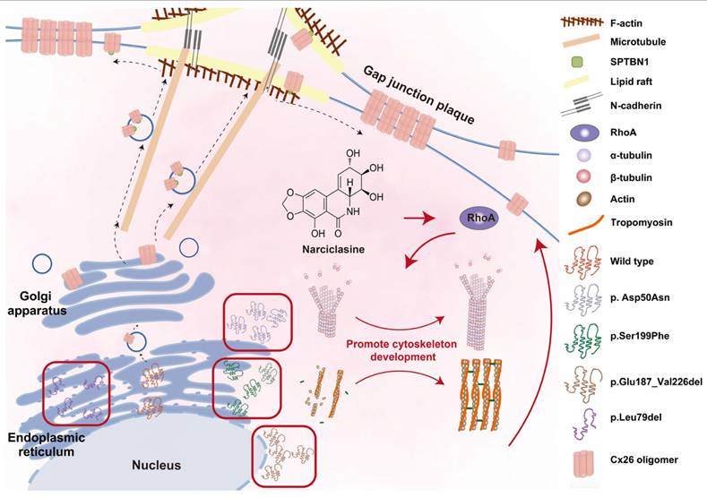 Theranostics Image