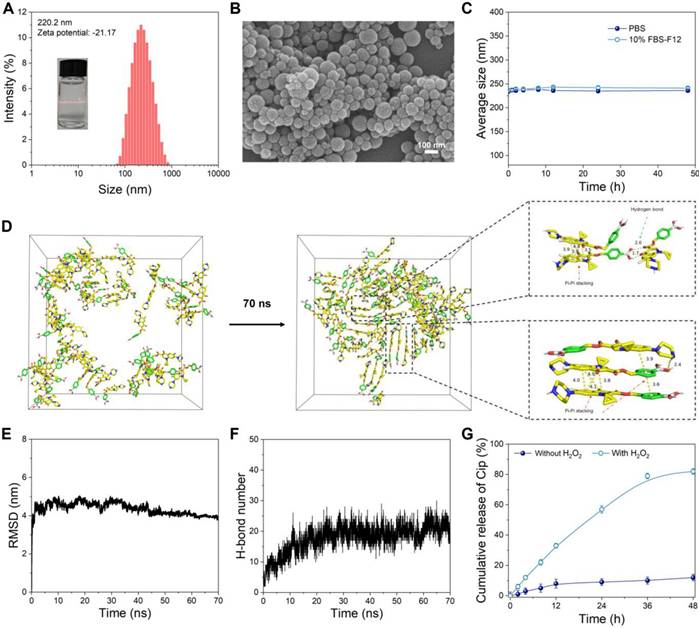 Theranostics Image