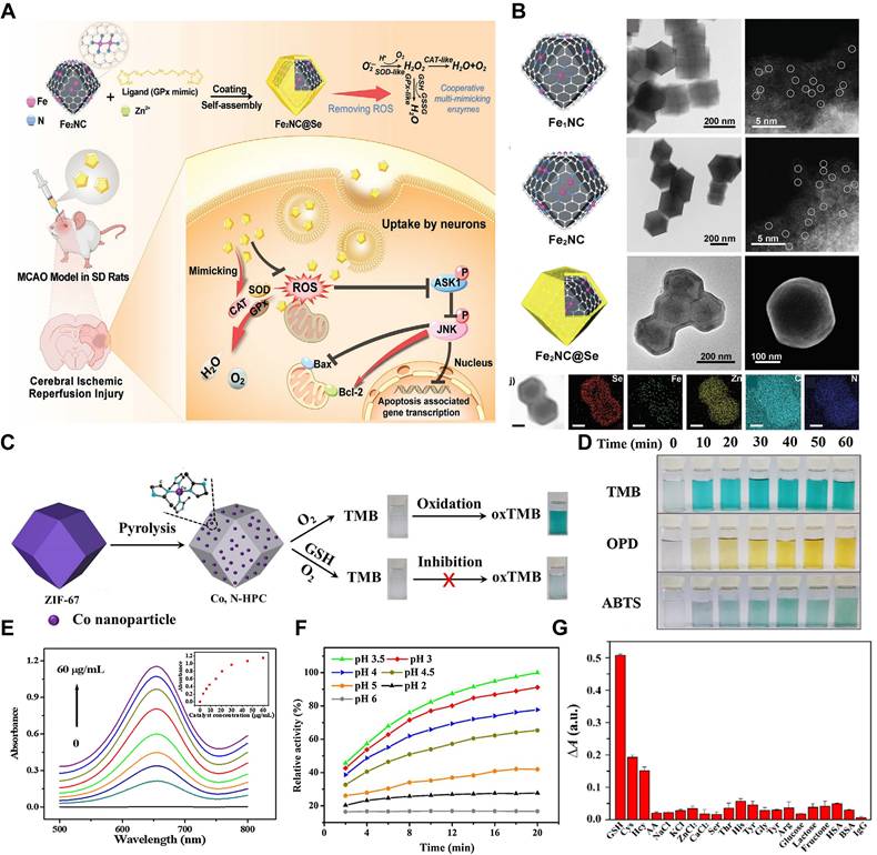 Theranostics Image