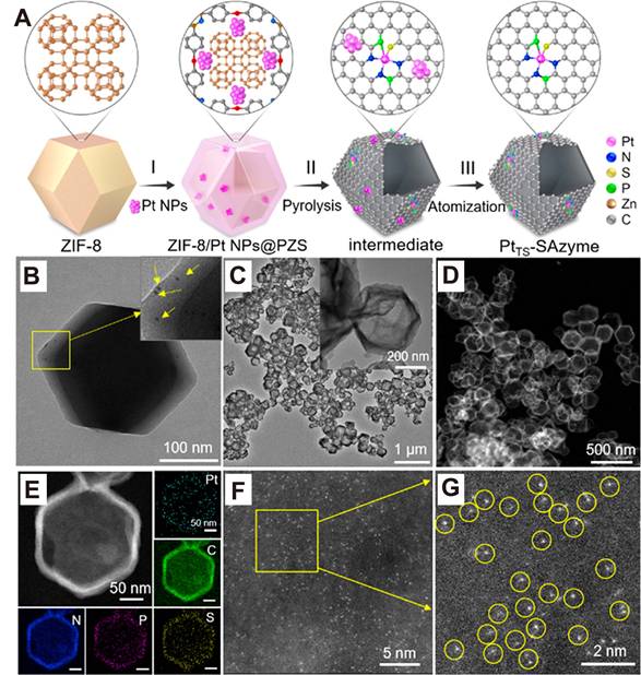Theranostics Image